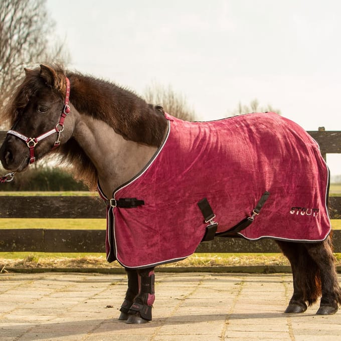 Harry's Horse Zweetdeken  Stout! - Dark Red - 125 Cm
