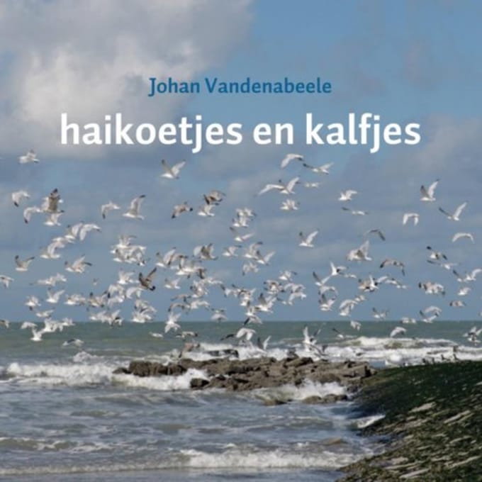 Haikoetjes En Kalfjes - Johan Vandenabeele