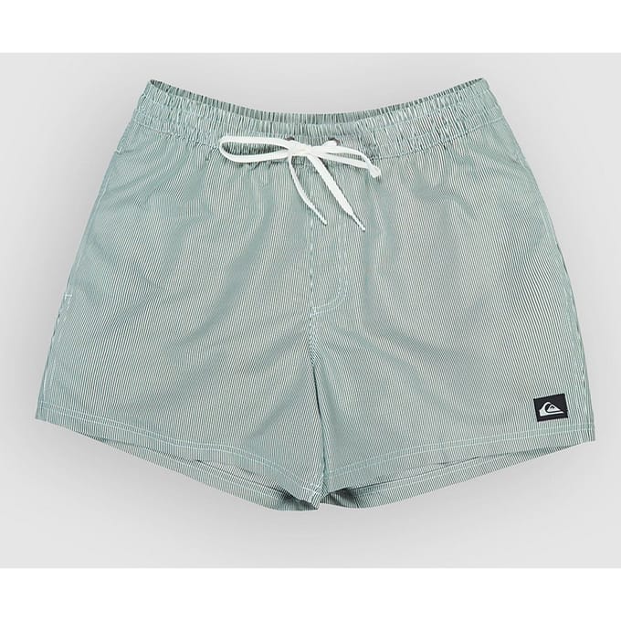 Quiksilver Everyday Deluxe Volley 15 Boardshorts groen