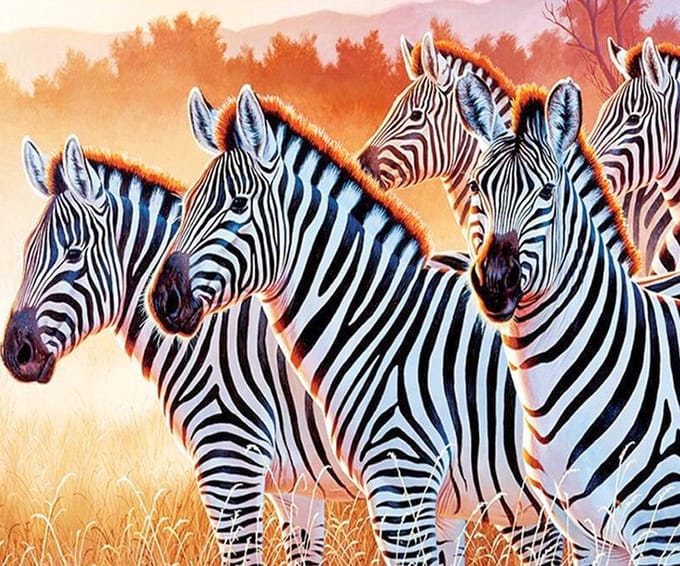 Diamond painting 40x50cm - zebra's - ronde steentjes