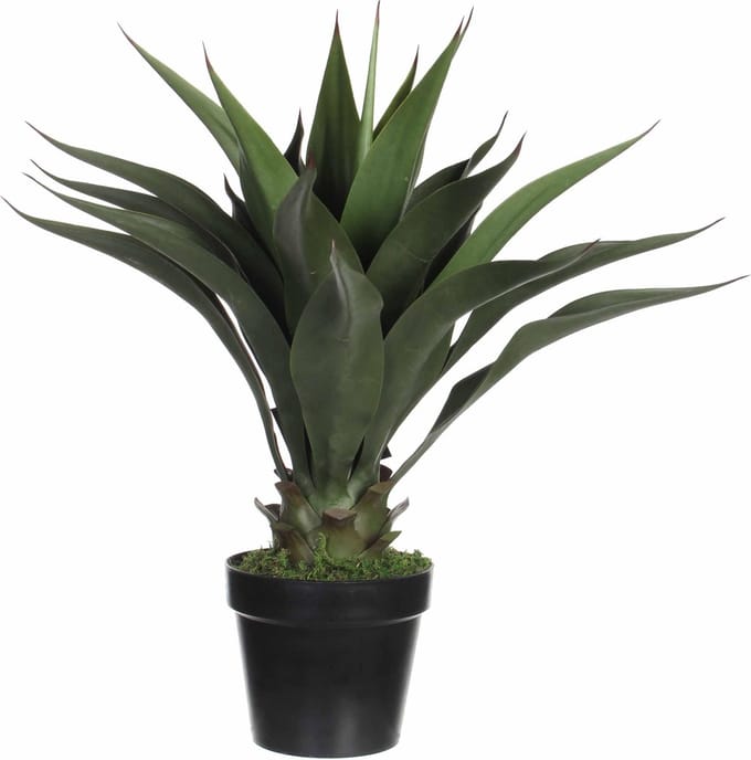 Groene Agave kunstplant 60 cm in zwarte plastic pot - Kunstplanten/nepplanten