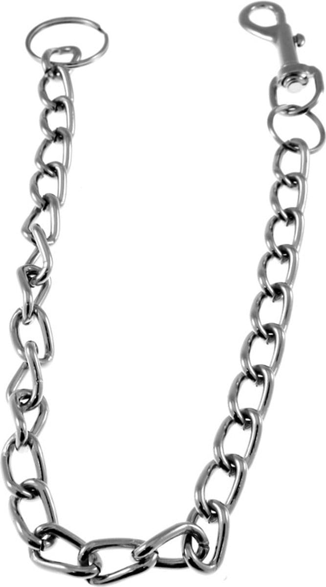 Zac's Alter Ego - 65 cm Sleutel-/broekketting - Zilverkleurig