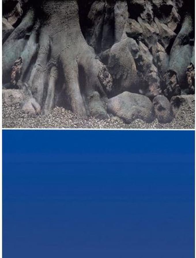 Superfish Poster - Aquarium Deco achterwand 4 - Afmeting: 150 x 61 cm