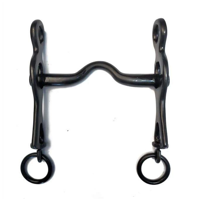 RVS Portugese Bit voor Paard Zaldi I-5179