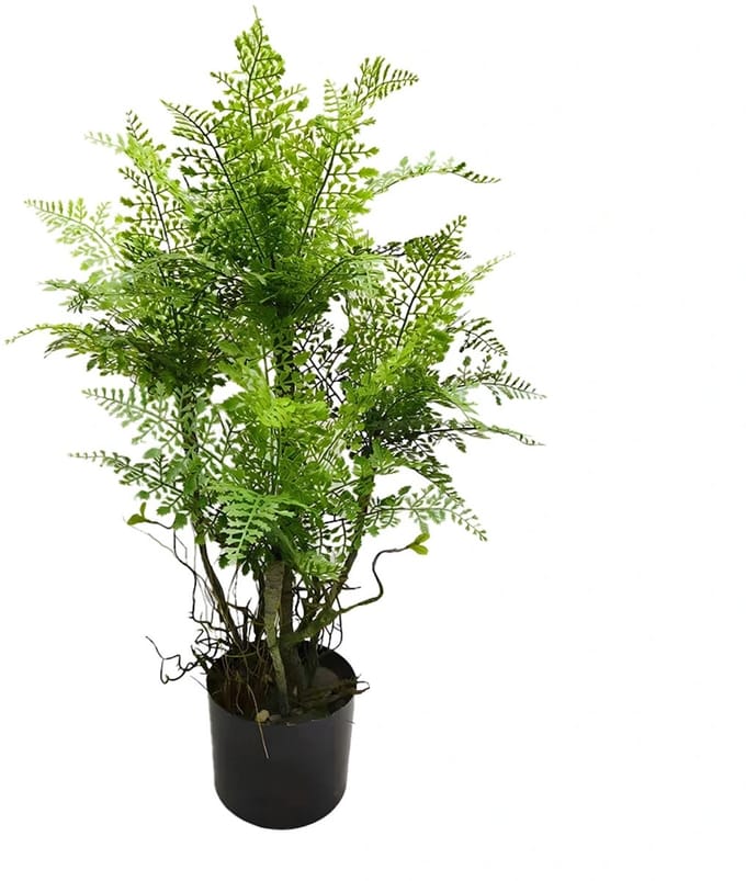 Kunstplant Spleenwort Varen - 81 cm