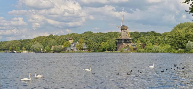 Fotobehang Kralingse Plas Rotterdam 450 x 260 cm - € 295,--