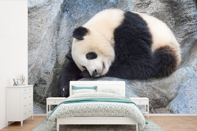 Behang - Fotobehang Panda - Slapen - Steen - Breedte 330 cm x hoogte 220 cm