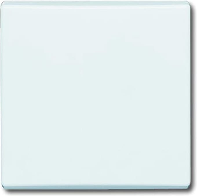 ABB Busch-Jaeger Schakelelement/Centrale Plaat voor Alle weersomstandigheden IP44 - 2CKA001731A1775 - E2AD8