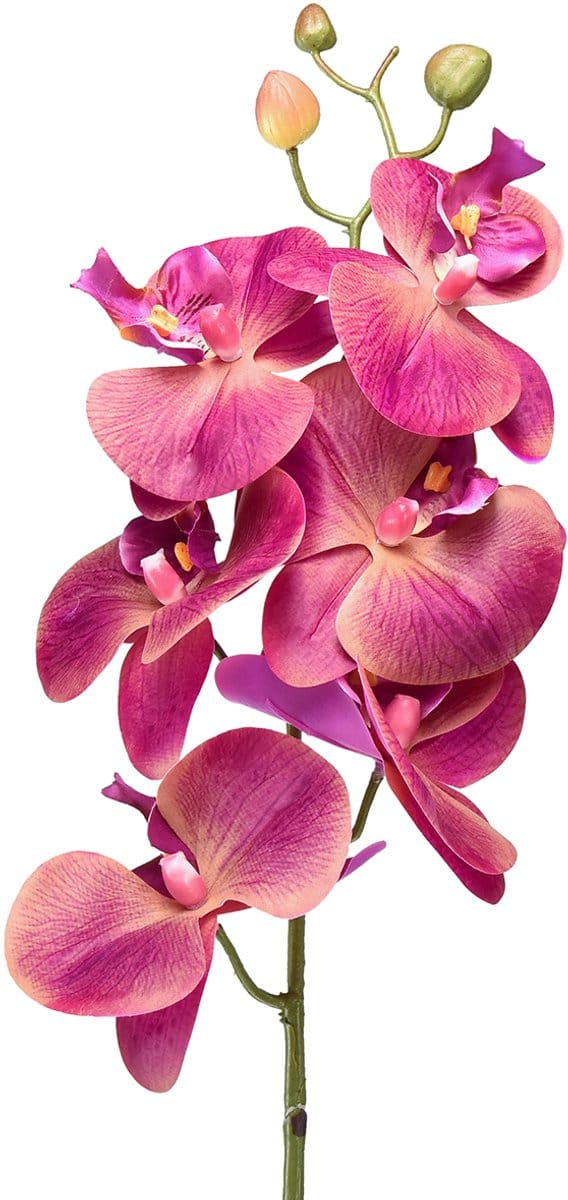 Kunstorchidee Phalaenopsis Orchidee Fuchsia 78cm