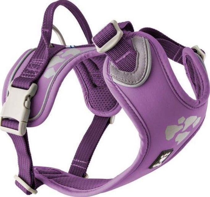 Hurtta Weekend Warrior Hondenharnas Currant paars 100 - 120 cm