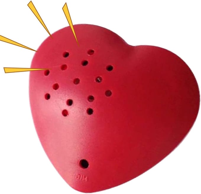Stemrecorder Pluche Dier - Opname module - Speelgoed Personaliseren - 60 Seconden Opname - 5 cm - Rood