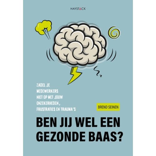 Ben Jij Wel Een Gezonde Baas? - Brend Seinen