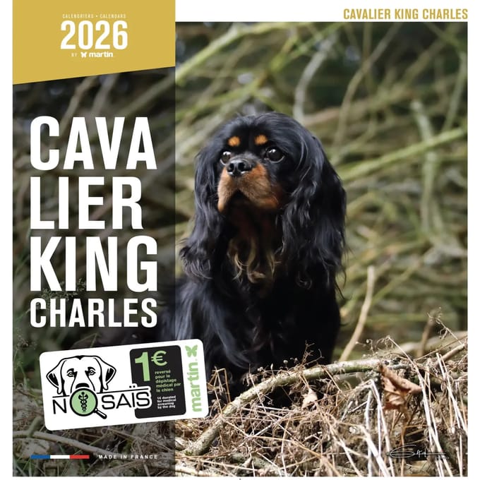 Kalender Martin Sellier Cavalier King Charles