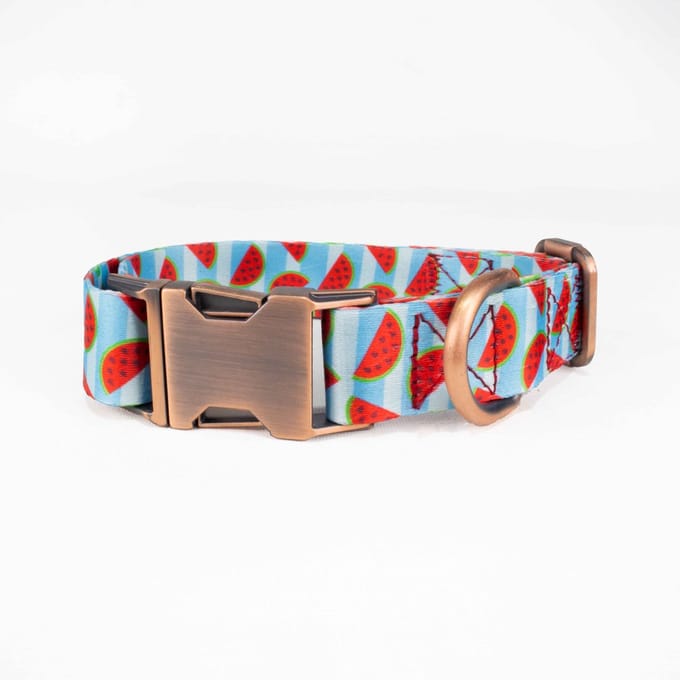 Luxe Halsband voor Honden-Metaal-Verstelbaar- 29 Cm-42Cm x 2,5 Cm-D2