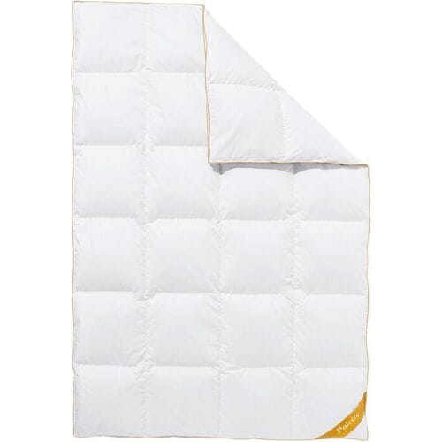 BALETTE deLuxe ganzendons cassette dekbed Gold Edition extra warm (155 x 220 cm)