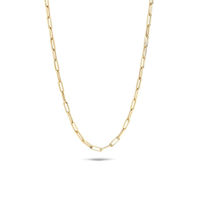 Blush Ketting Dames - Goud - 45 cm - Halsketting Dames Geen bewerking - Collier