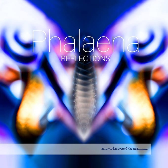 Reflections - Phalaena