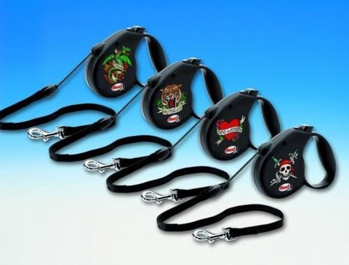 Flexi - Leine ROCK STAR Drache, 5 m Seil