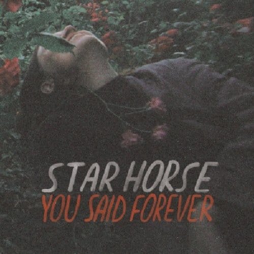 Star Horse - You Said Forever (LP)