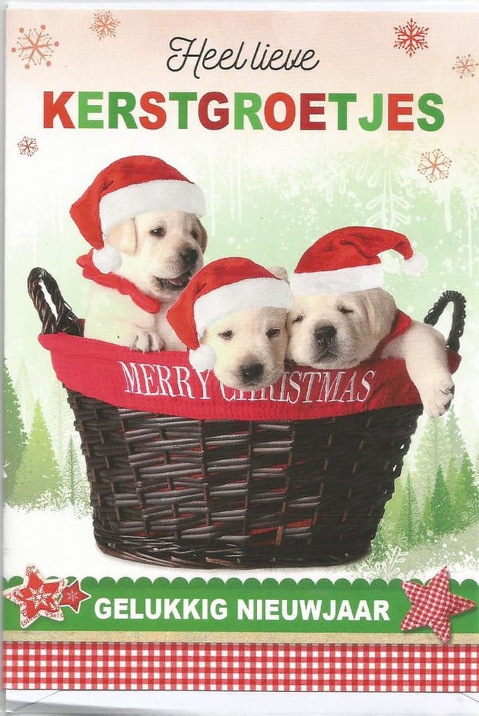 Kerstkaarten nu. 25  10 stuks