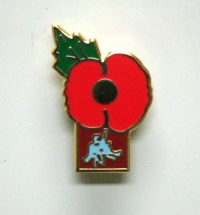 Pin Poppy met Pegasus