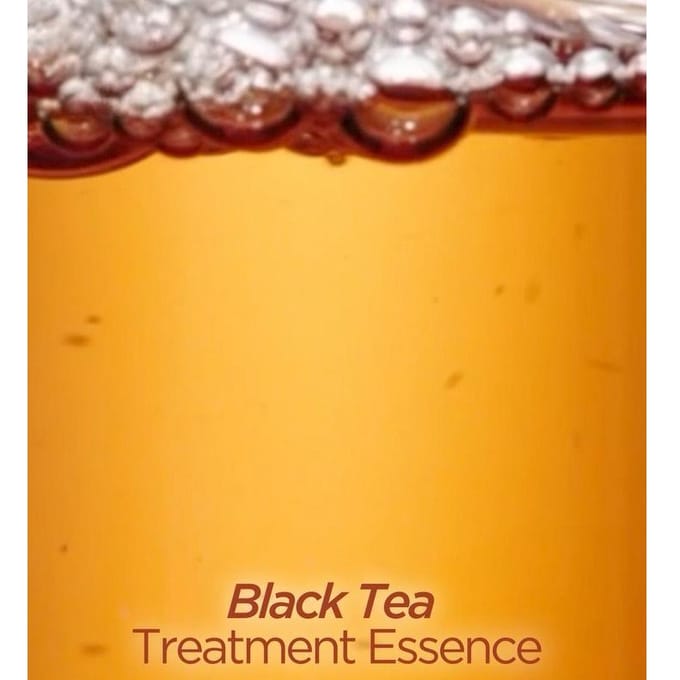 Innisfree Black Tea Youth Enhancing Treatment Elasticity Essence, 1 verpakking, 75ml beige