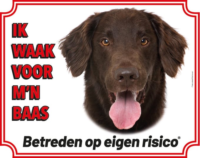 Flatcoated Retriever Waakbord