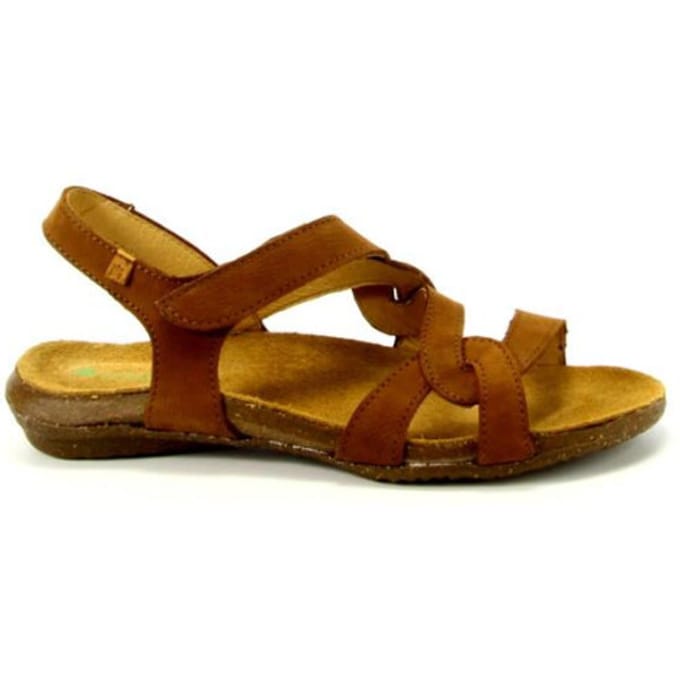 El Naturalista N5079