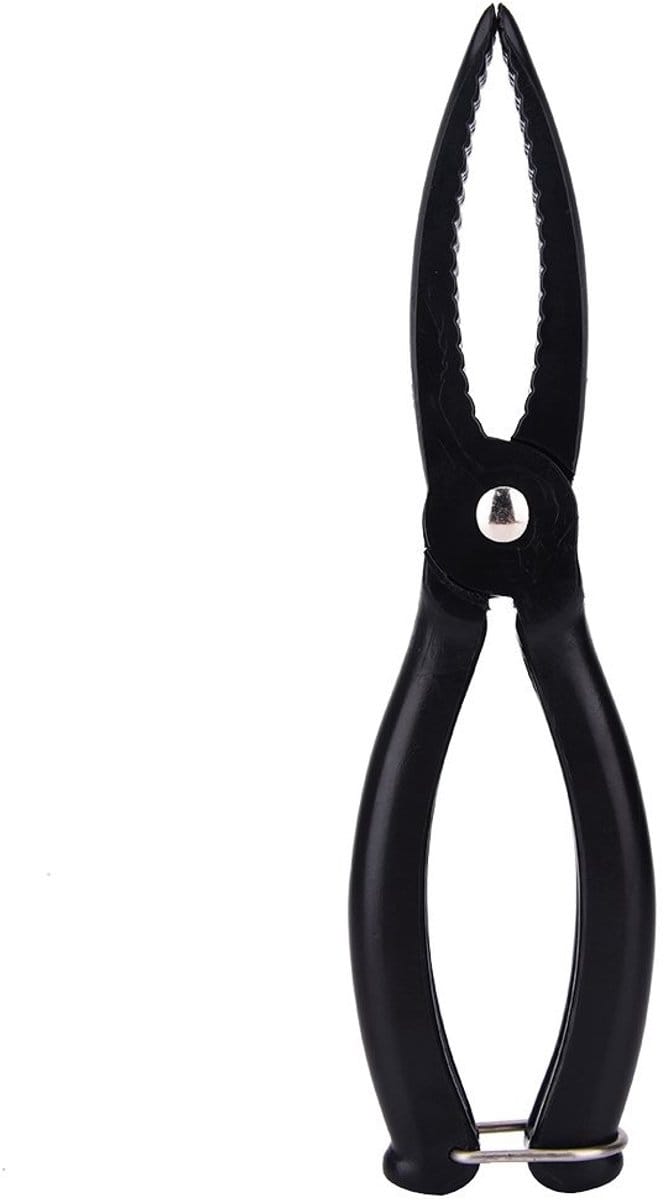 Dailygoods- Visgrijper Lichtgewicht - Vistang - Visliphouder