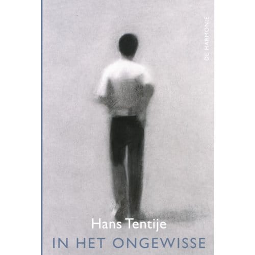 In Het Ongewisse - Hans Tentije