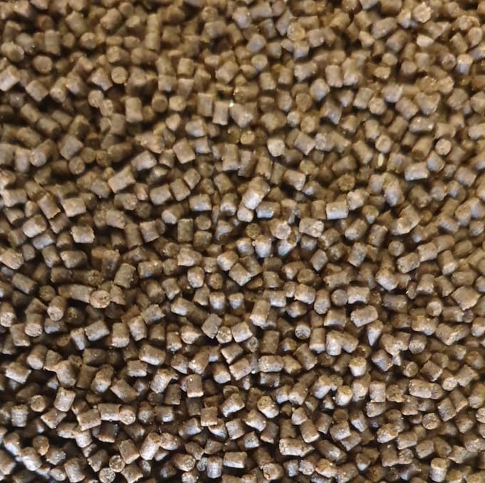 Goudvis korrels zinkend 50 gram