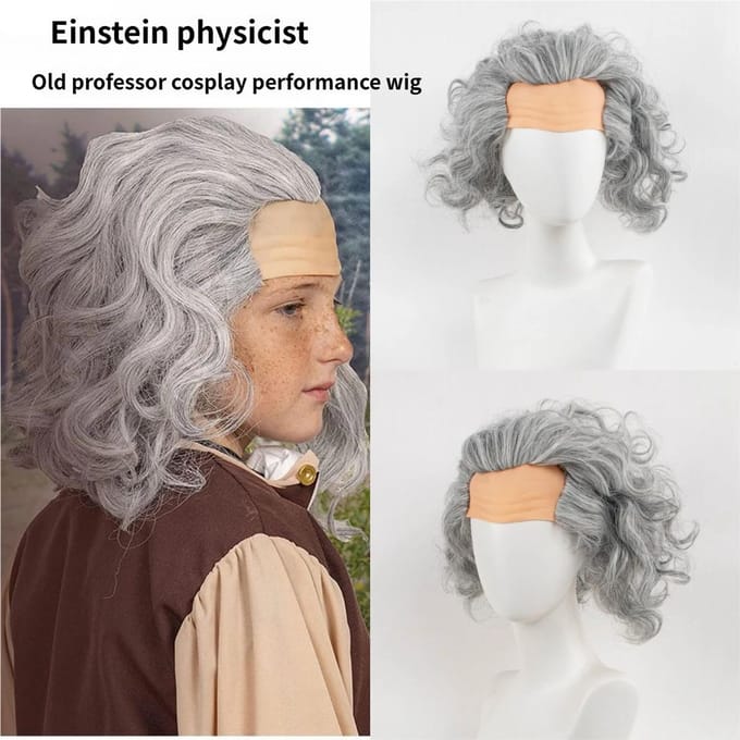 Professor Fysicus Einstein's Pruik Adult size zilver
