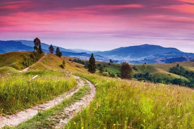 Fotobehang - Blooming Hills 375x250cm - Vliesbehang