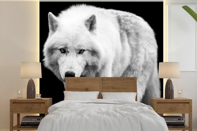 Behang - Fotobehang Wolf - Dier - Zwart - Wit - Breedte 350 cm x hoogte 350 cm