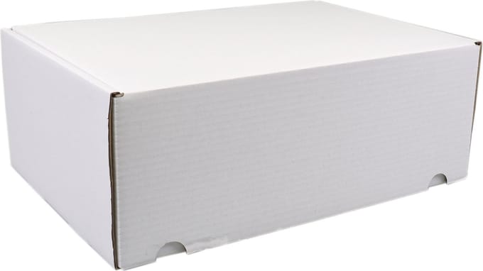 SendProof® Postpakketdoos | golfkarton | 315x215x120mm | gestanst | wit | 25 stuks