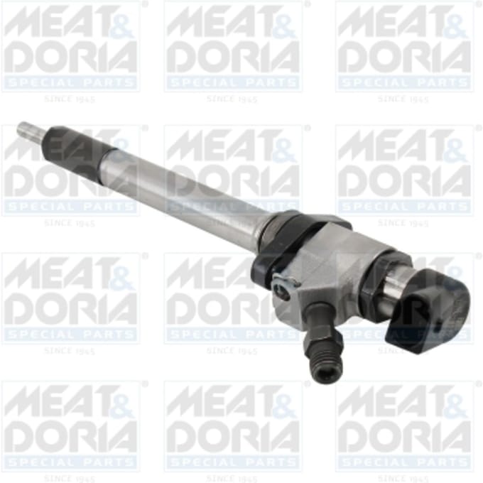 Verstuiverneus  MEAT & DORIA 74034