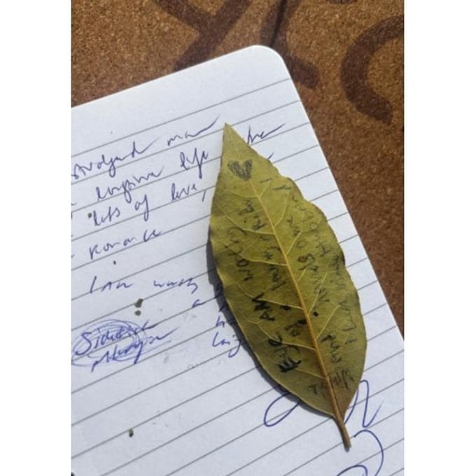 Smoking Syllables - Marselina Rambaldo