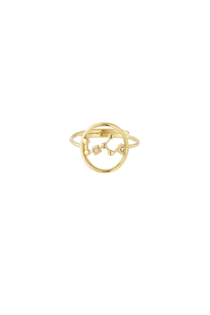 12 zodiac-ringen - Goudkleur