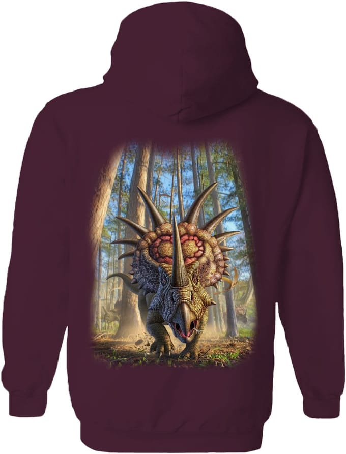 Dino Styracosaur The Coloured House Hoodie S