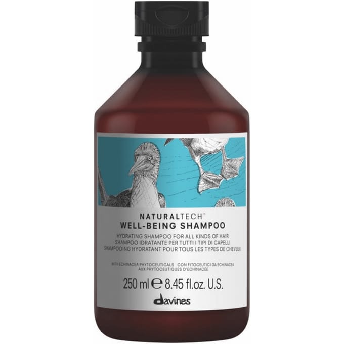 Davines Well Being Shampoo 250 ml