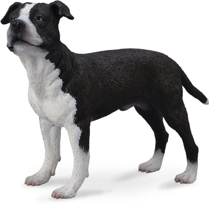 COLLECTA Figurine - American Staffordshire - (L)