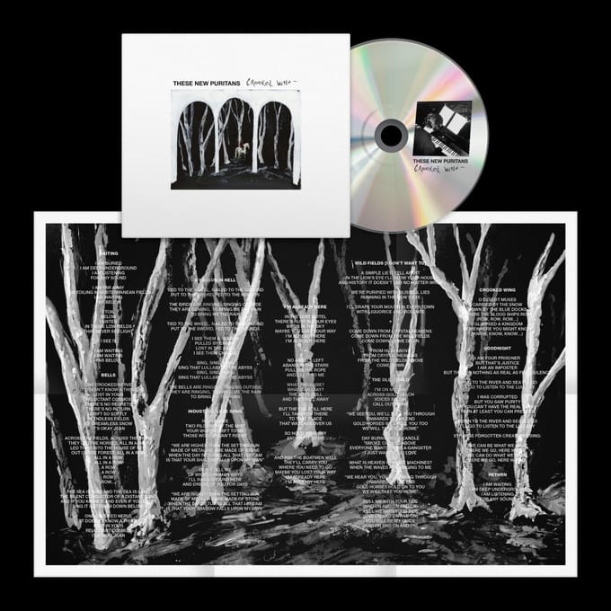 Crooked Wing - These New Puritans