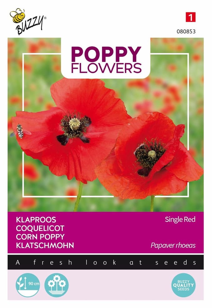 Buzzy® Poppies of the world - Klaproos Rhoeas Rood