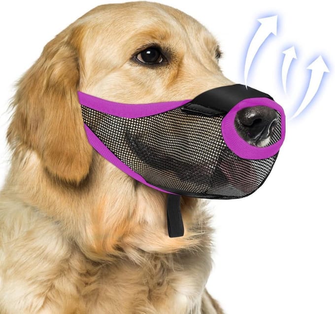 Ademende Hond M, Voorkomt Bijten en Blaffen