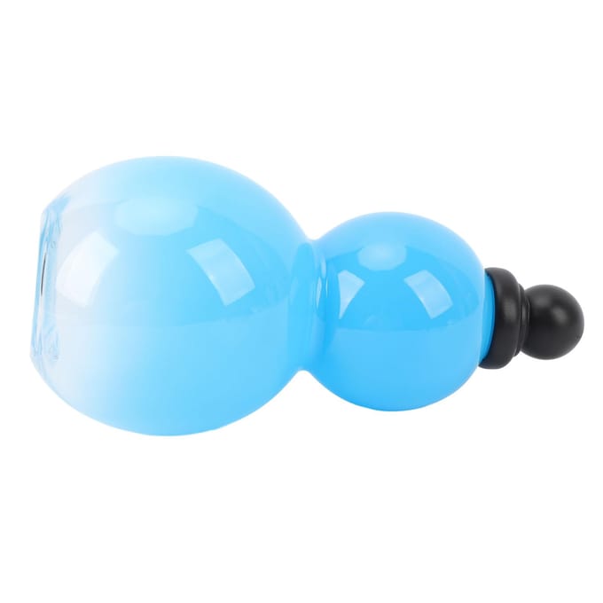 Gourde 800 ml, bouteille d'eau portable d'extérieur, décoration rétro avec sangle brillante noir