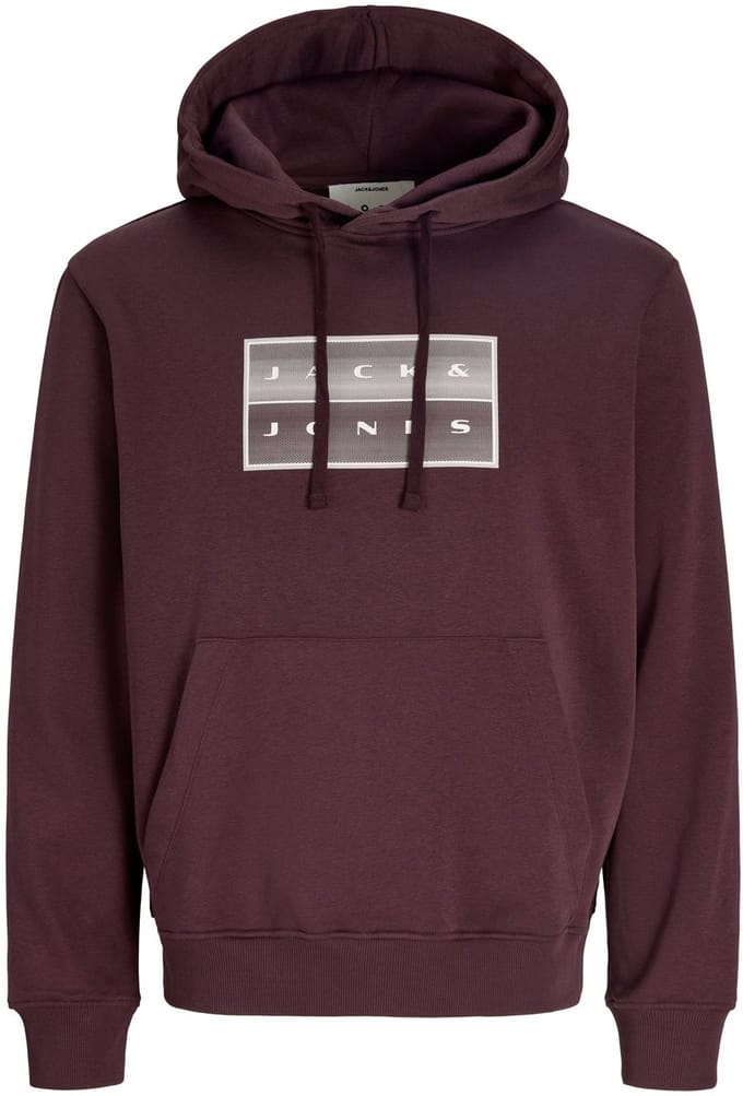 JACK&JONES - JCOFUSION BOX SWEAT HOOD - Jongens - Sweaters