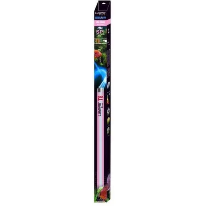Buis Aquavie Lumivie SP T8