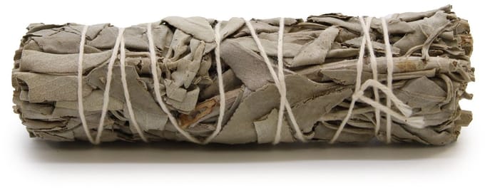 Smudge Stick - Dream Sage 10cm