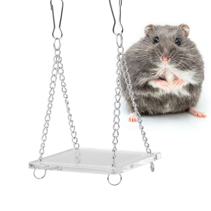 Hamster Hangbrug Hamster Schommel Hangend Stand Speeltuin white