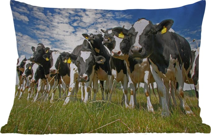 Buitenkussens - Tuin - Koeien - Gras - Weiland - Dieren - 50x30 cm